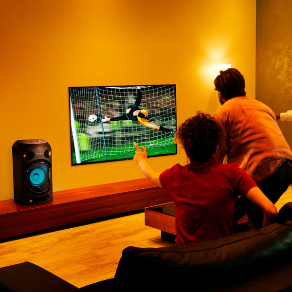 Купить Музыкальный центр SONY MHC-V21D — Фото 7