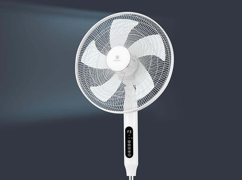 Купить Вентилятор Electrolux EFF-1020i — Фото 4