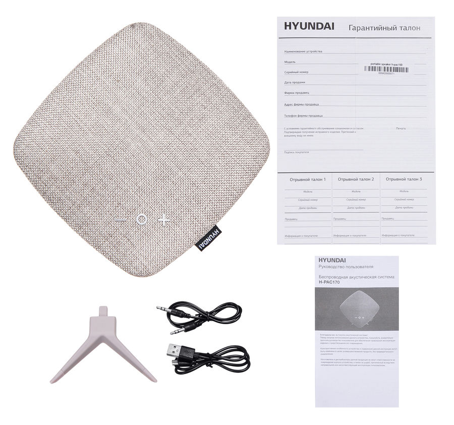 Купить Портативная акустика Hyundai H-PAC170 — Фото 5