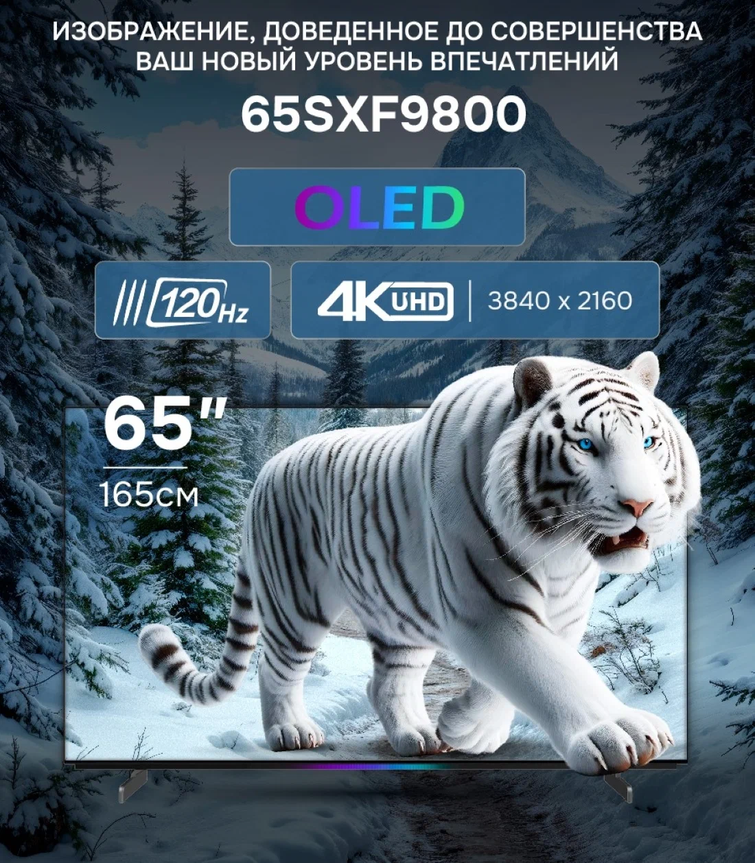 Телевизор SKYWORTH 65SXF9800																		 — описание, фото, цены в интернет-магазине PT Stores