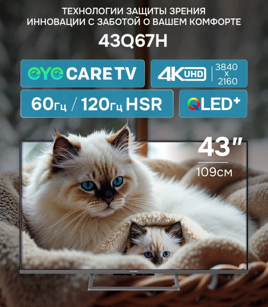 Телевизор SKYWORTH 43Q67H																		 — описание, фото, цены в интернет-магазине PT Stores