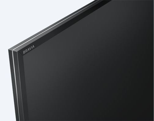 Купить Телевизор SONY KD49XE8096BR2 — Фото 7