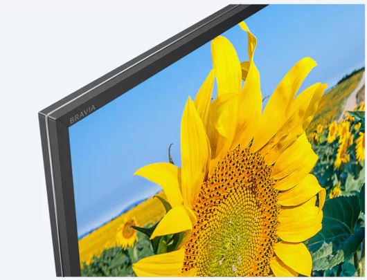 Купить Телевизор SONY KD55XF8096 — Фото 4