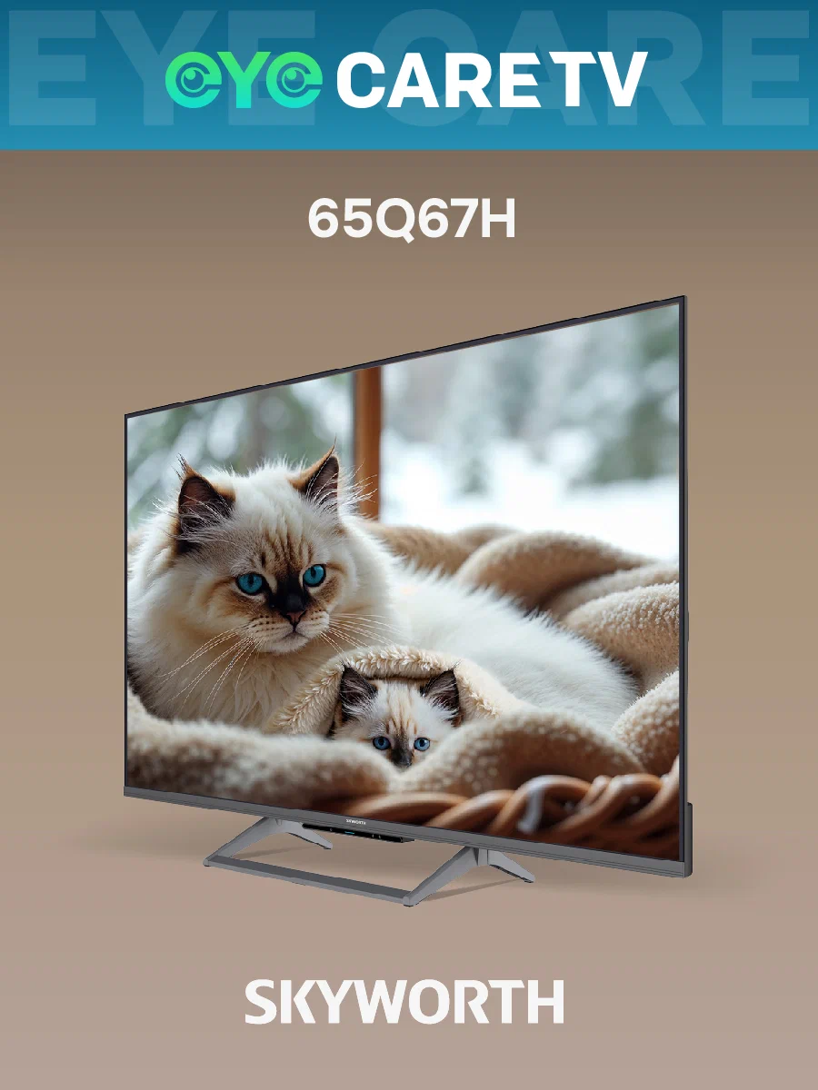 Купить Телевизор SKYWORTH 65Q67H — Фото 14
