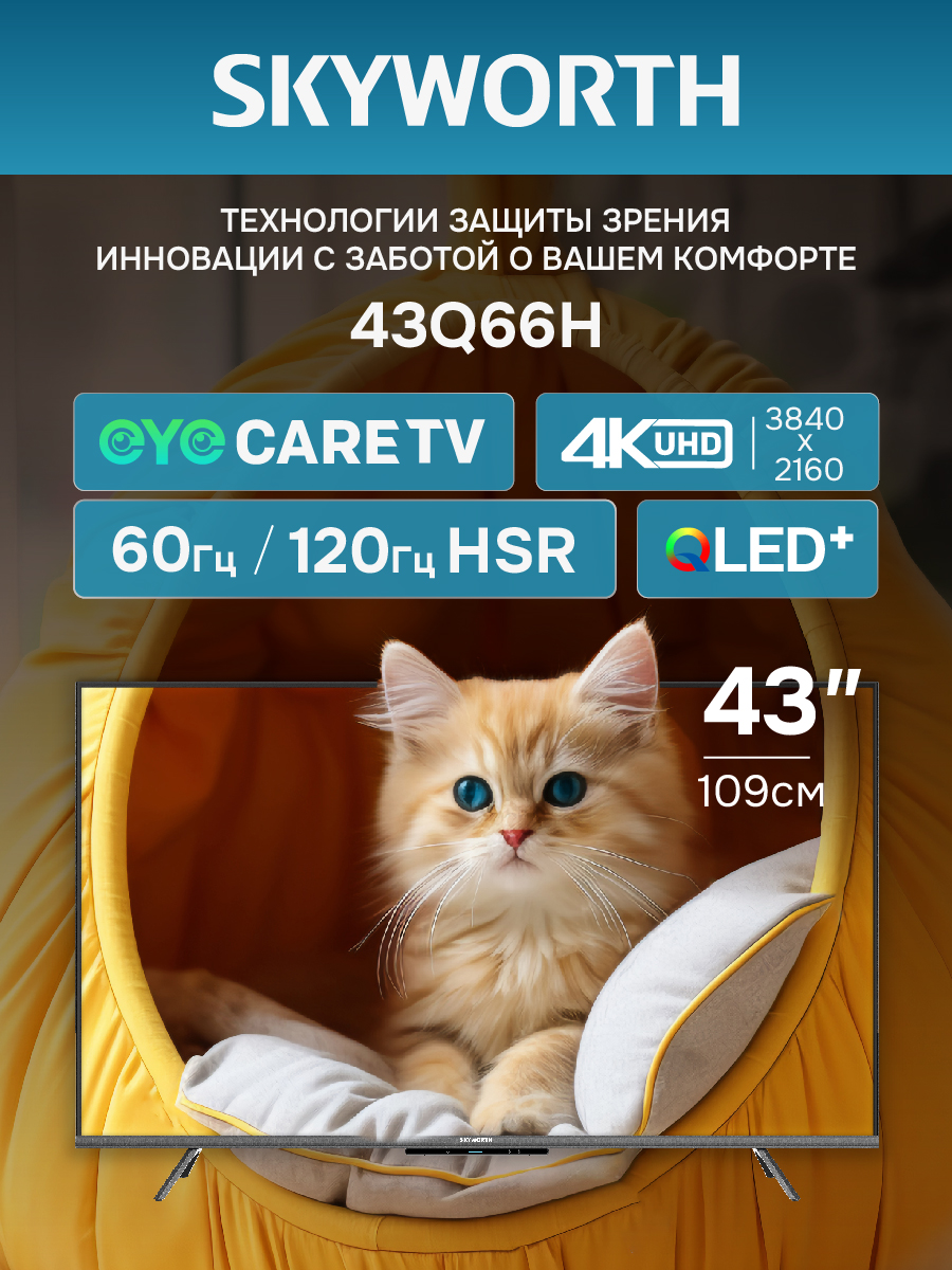 Телевизор SKYWORTH 43Q66H																		 — описание, фото, цены в интернет-магазине PT Stores