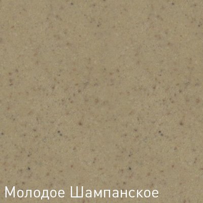 Купить Мойка Zigmund & Shtain Platz 465 Молод.шамп — Фото 2