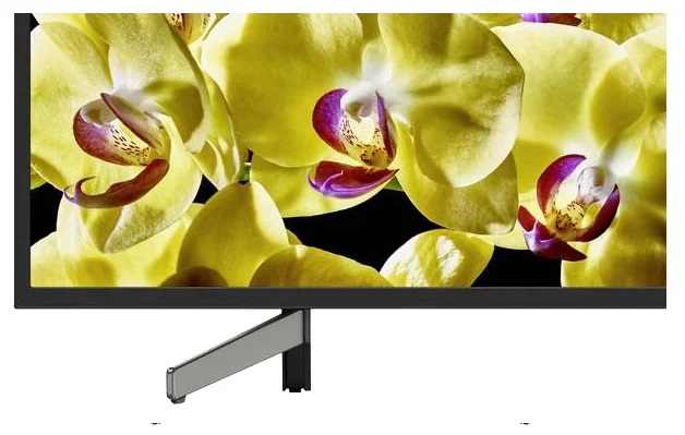 Купить Телевизор SONY KD55XG8096 — Фото 4