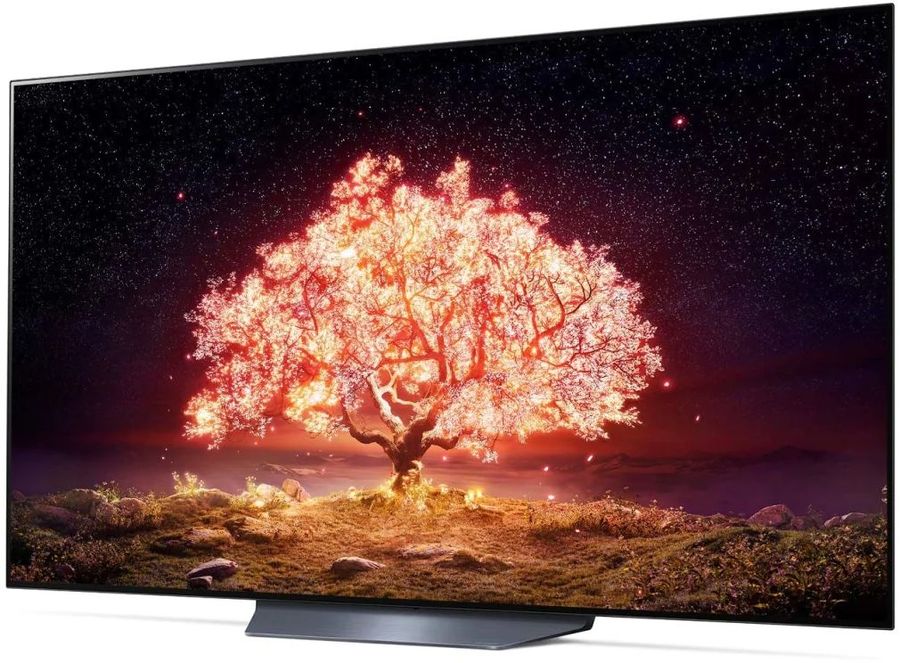 Купить Телевизор LG OLED65B1RLA — Фото 8