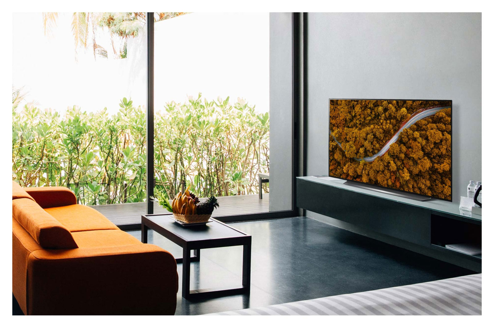 Купить Телевизор LG OLED77CX — Фото 2