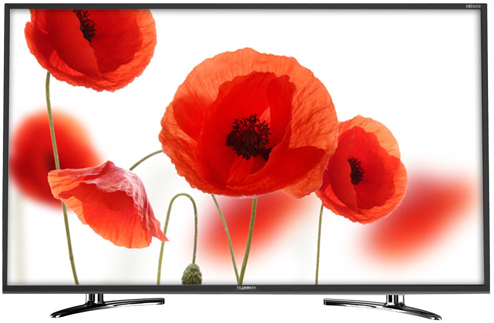 Телевизор TELEFUNKEN TF-LED24S27T2(ЧЕРНЫЙ)																		 — описание, фото, цены в интернет-магазине PT Stores