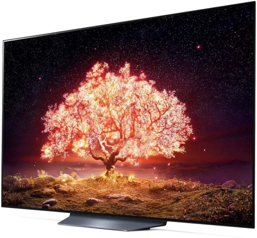Купить Телевизор LG OLED65B1RLA — Фото 6