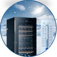 6.JPG