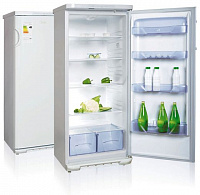 Однокамерный холодильник БИРЮСА 542 