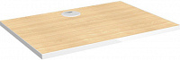 HOLDER SKA-P1-LW