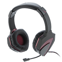A4 G501 черный