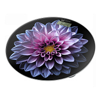 Напольные весы HOME-ELEMENT HE-SC908 розовый георгин