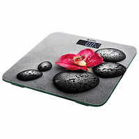 Кухонные весы VITEK VT-8084