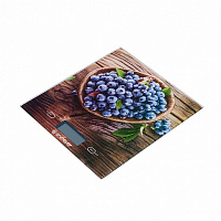 Кухонные весы ENDEVER Chief-500